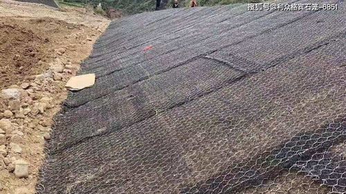 草綠色加筋麥克墊 邊坡綠化與蘭炭應用中的鋪設特點解析