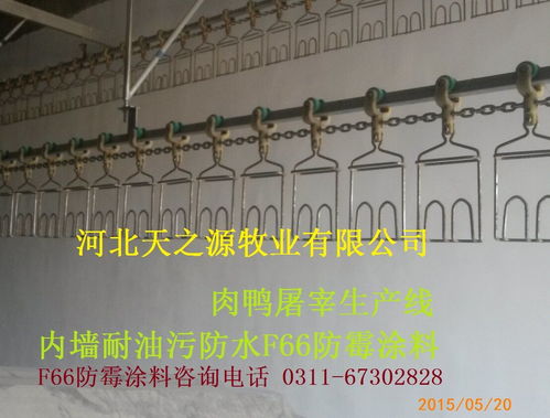 F66 9512防霉涂料 為食品廠、醫院、藥廠打造持久安全的白色防霉環境
